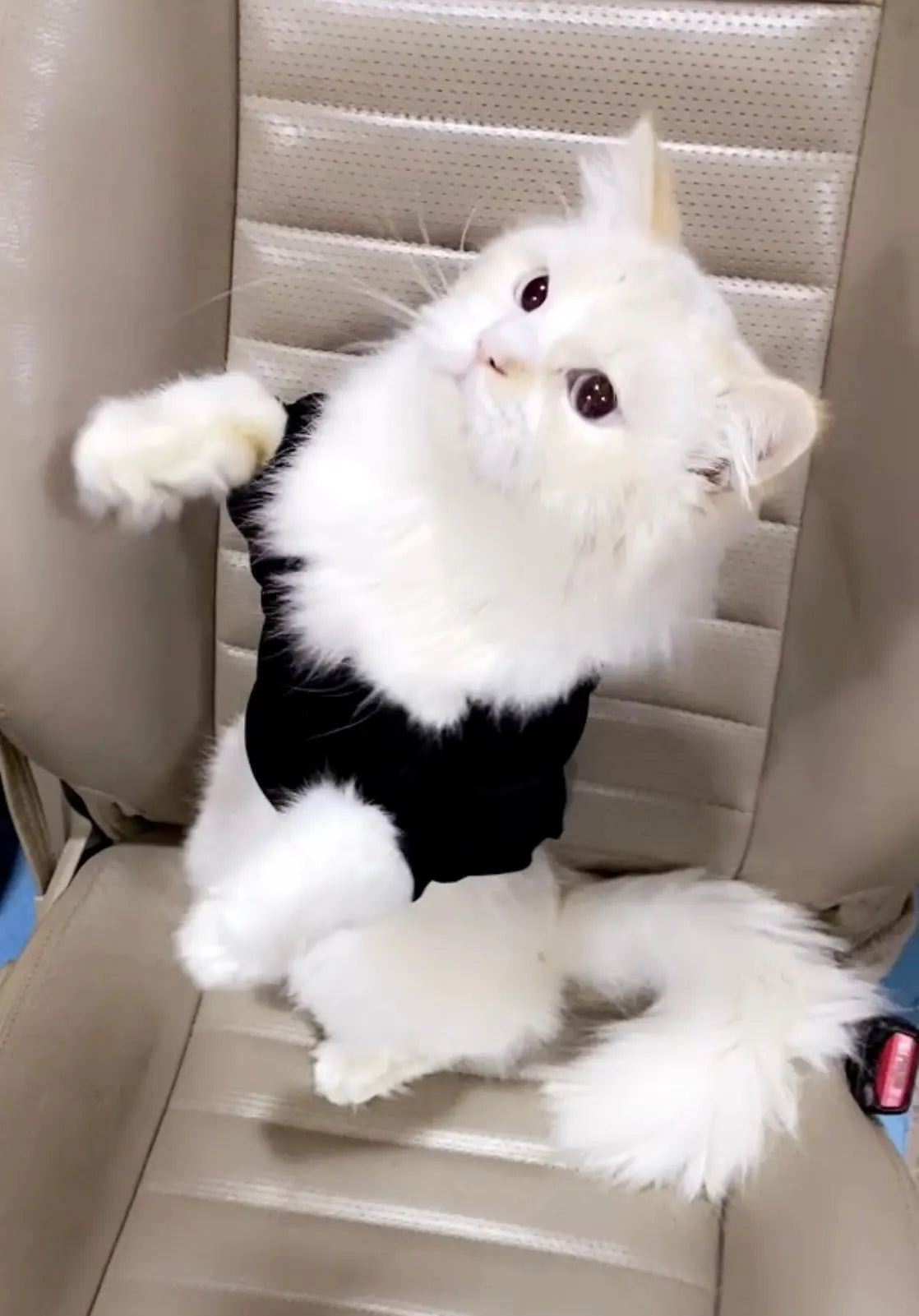 Letter printed hoodies