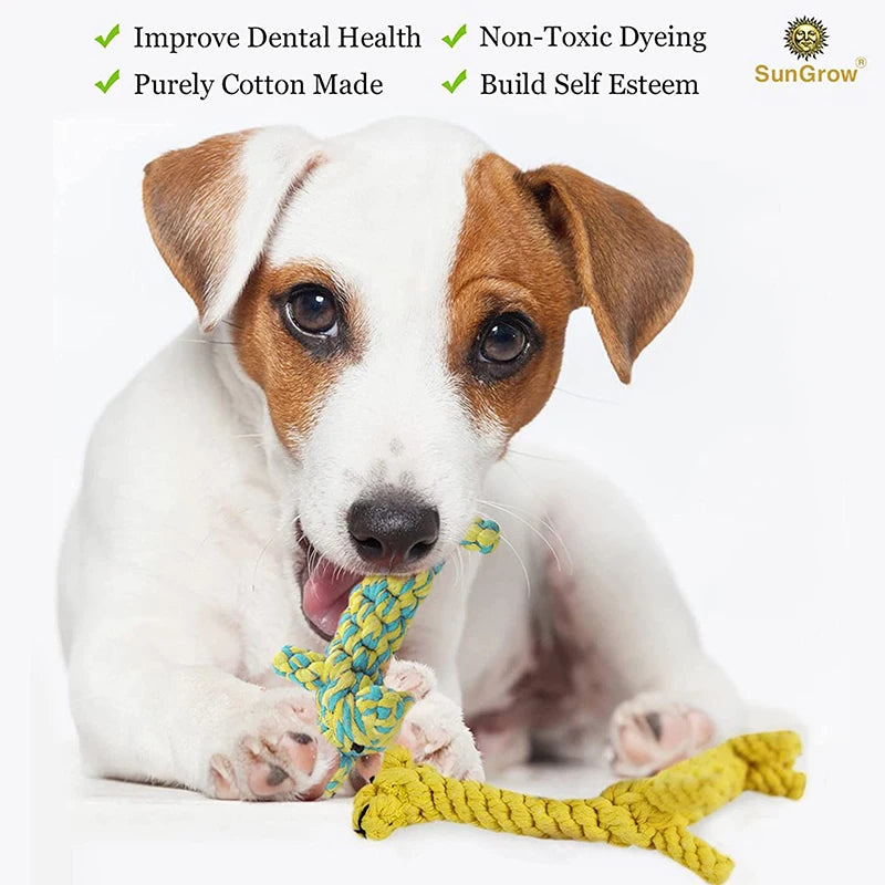 Cartoon Animal Dog Chew Toys