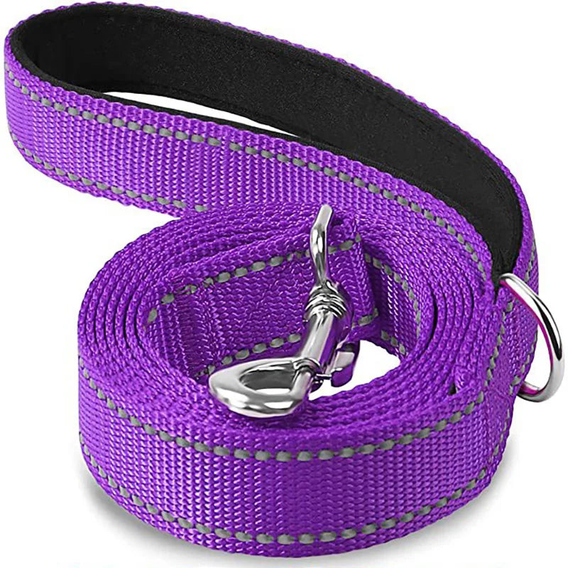 Night Reflection Pet Harness