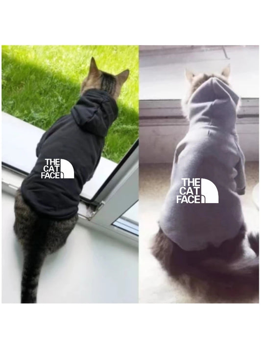 Fashion cat cool clothes