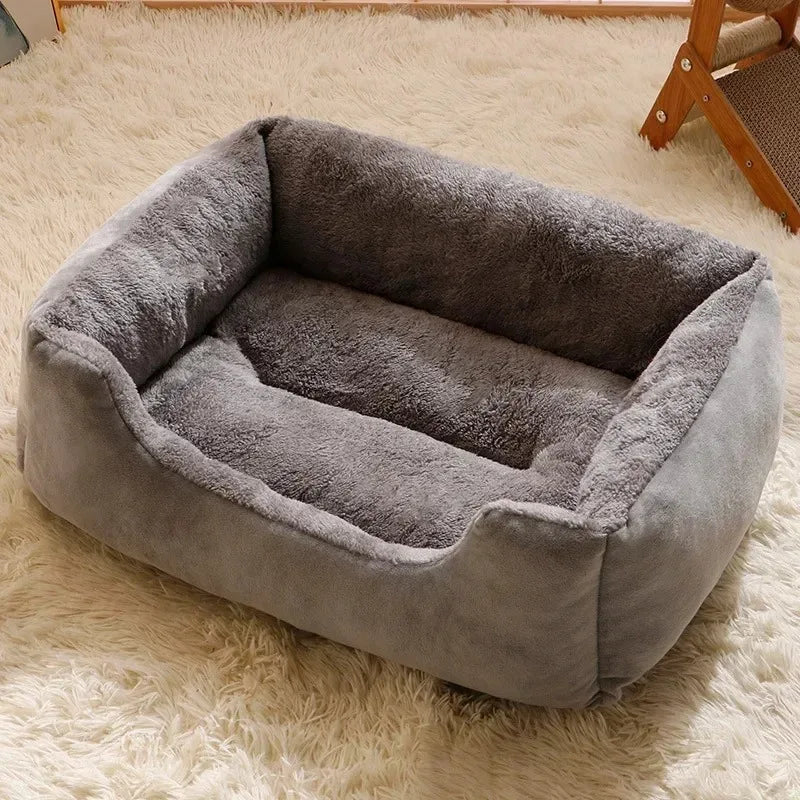 Cats Bed