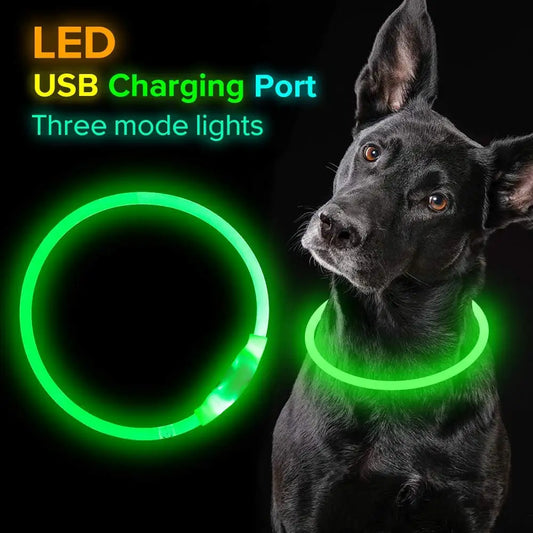 USB Rechargeable Glowing Necklace Safety Collar