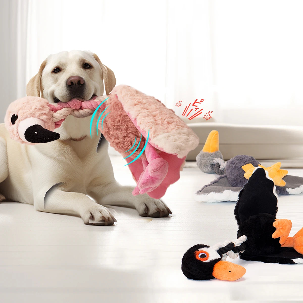 Plush Dog Toys