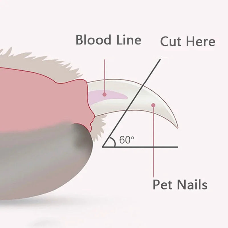 Pet Claw Grooming Scissors