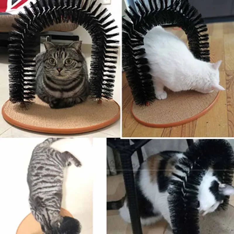 A Massage Grooming Rubbing Brush with Scratching Pad Toy