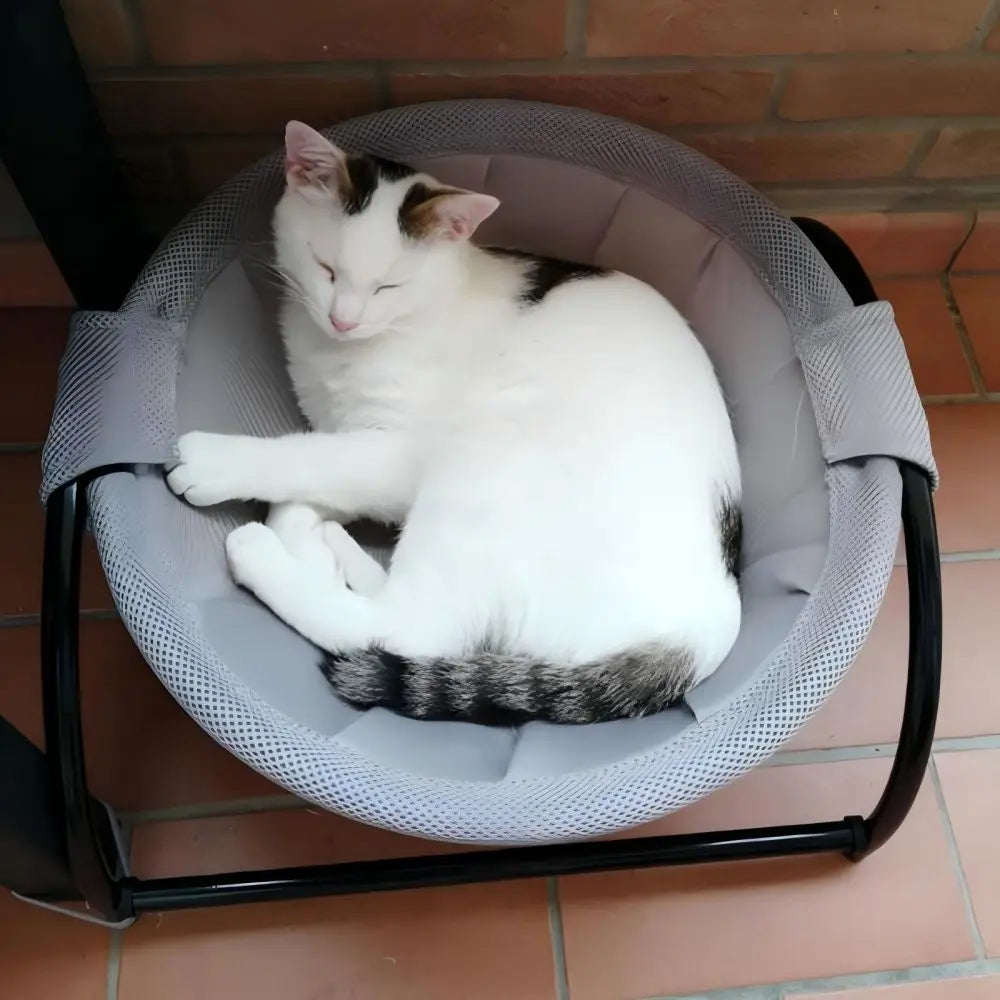 Cat Hammock Bed