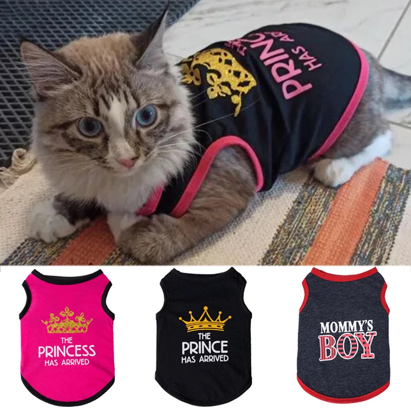 Sporty Cat T Shirt