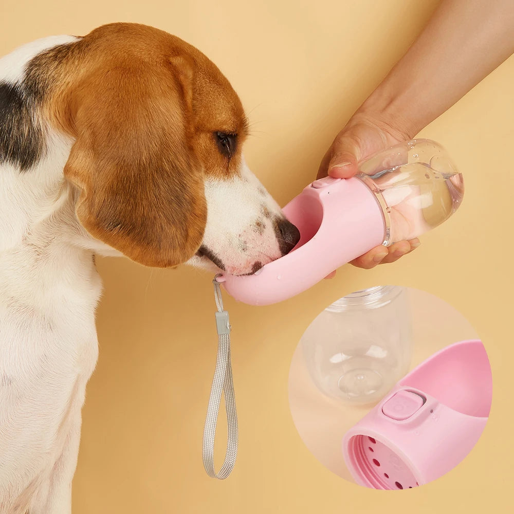 Water Bottle For Pet