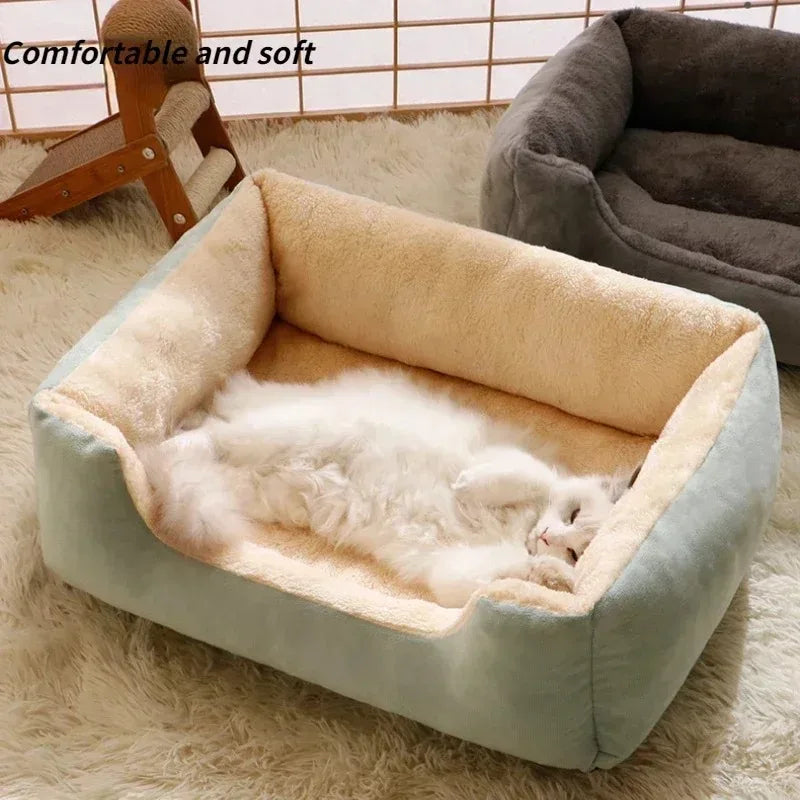 Cats Bed