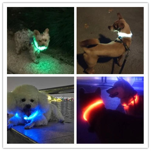 USB Rechargeable Glowing Necklace Safety Collar