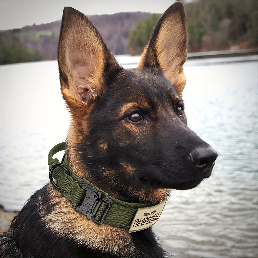 Heavy Duty Tactical Dog Collars with Handle