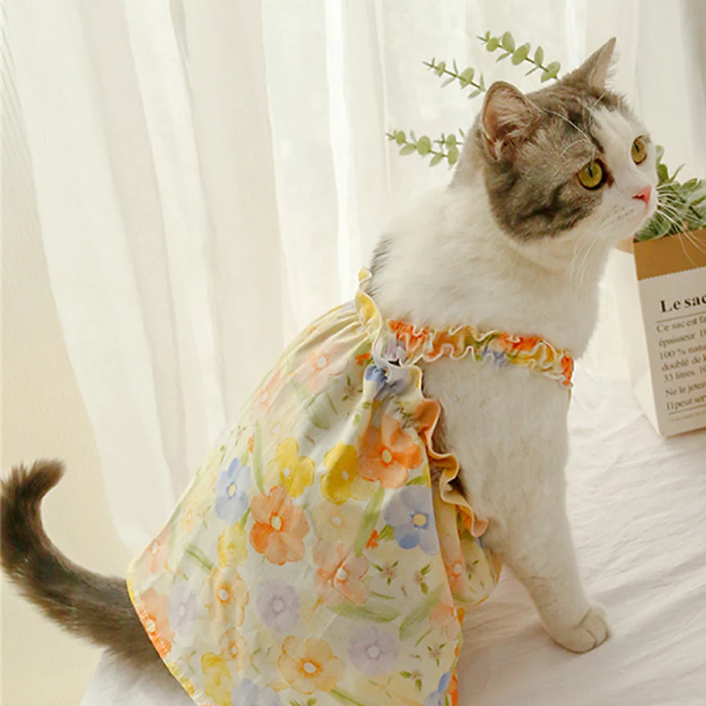 Summer Cotton Sphynx Cat Suspender Skirt Clothes