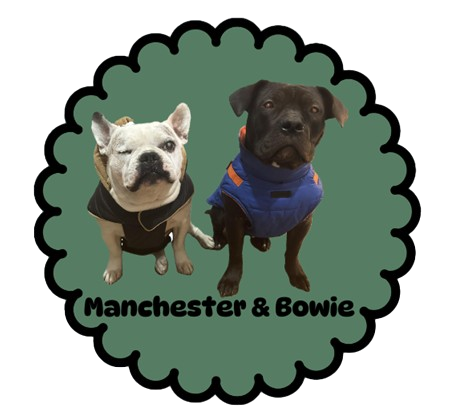 Manchester & Bowie